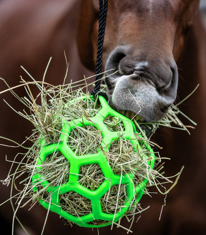 balle-a-foin-waldhausen-cheval