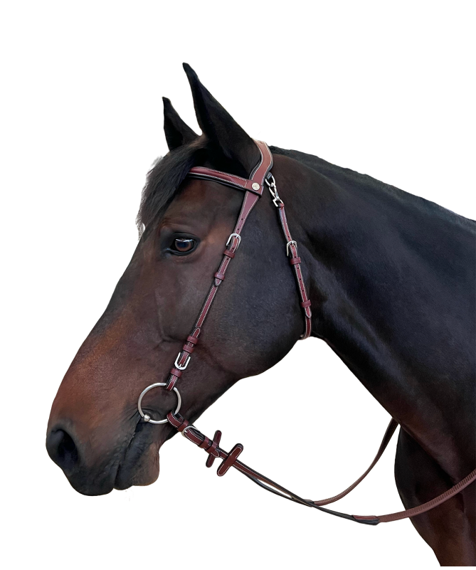 bridon-freedom-flags-and-cup-sans-musreolle