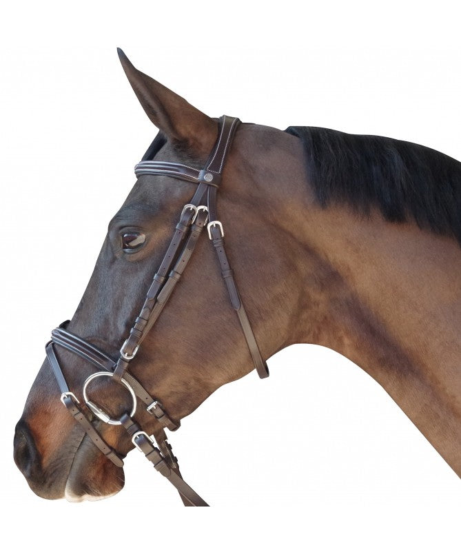 bridon-surpique-combine-canter