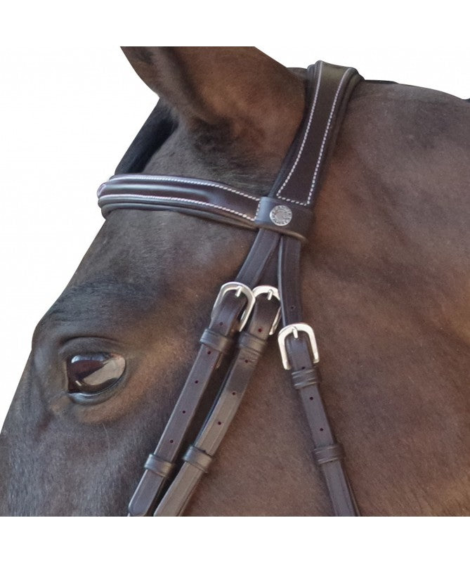 bridon-surpique-combine-canter_2