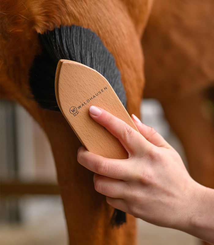 brosse-poussiere-waldhausen_1