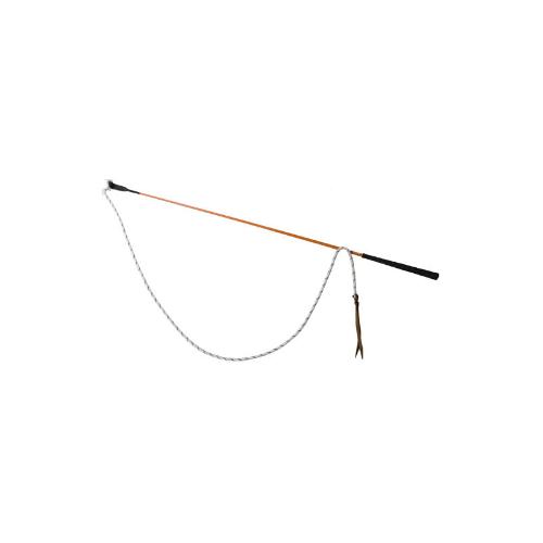 carrot-stick-orange-t-de-t