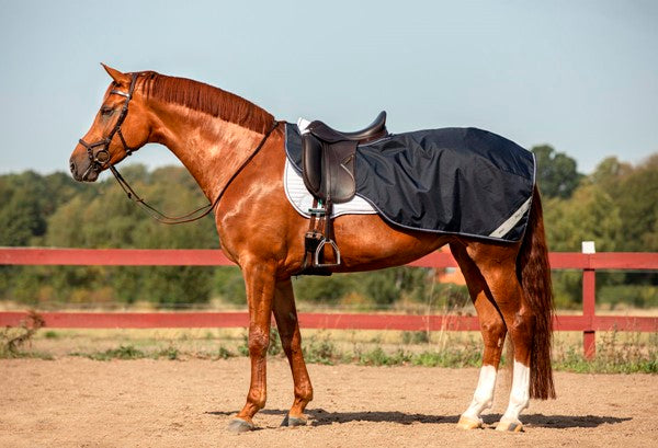 couvre-reins-amigo-horseware-impermeable