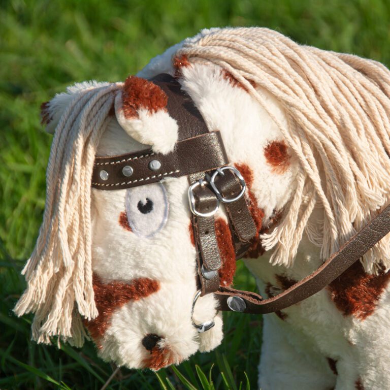 filet-western-cuir-crafty-ponies