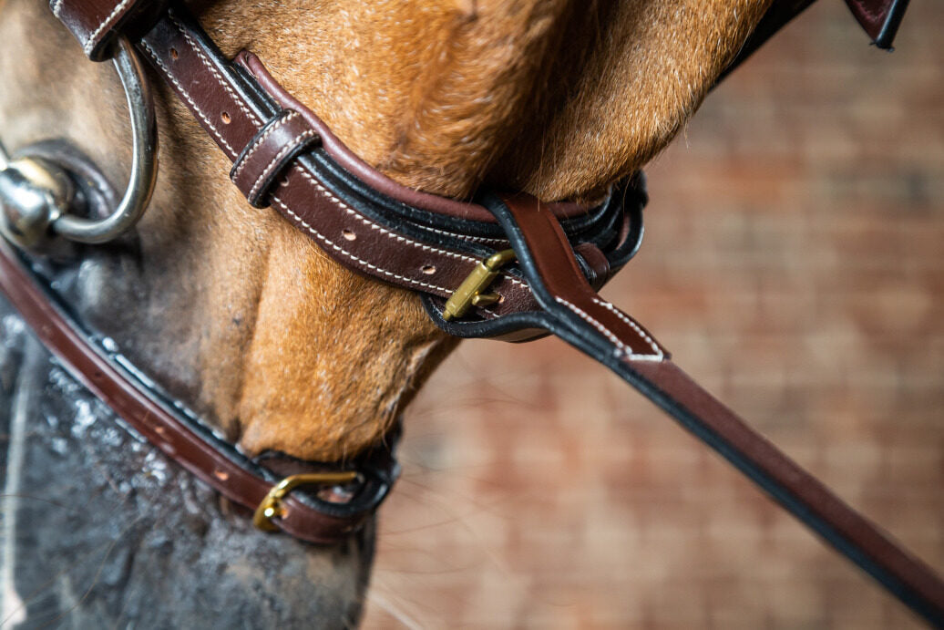 fourchette-de-martingale-fixe-brun-full-d-collection-3