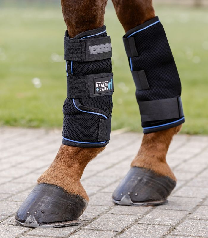 guetres-ice-layer-guetres-froides-waldhausen