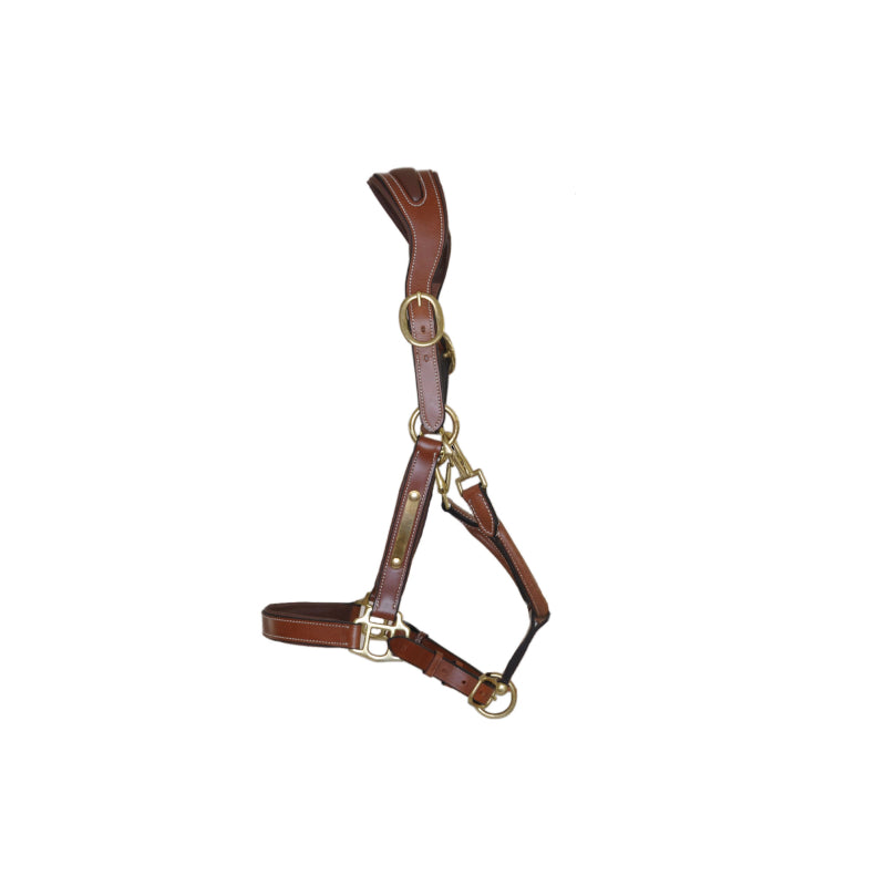 licol-cuir-avec-plaque-tetiere-anatomique-noisette-t-de-t