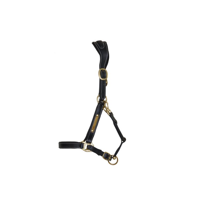 licol-cuir-avec-plaque-tetiere-anatomique-t-de-t