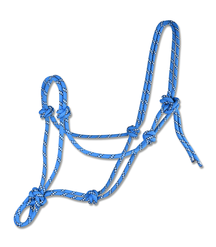 licol-etholigique-a-noeuds-bleu-roi-waldhausen