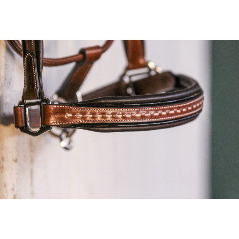licol-penelope-point-sellier_1
