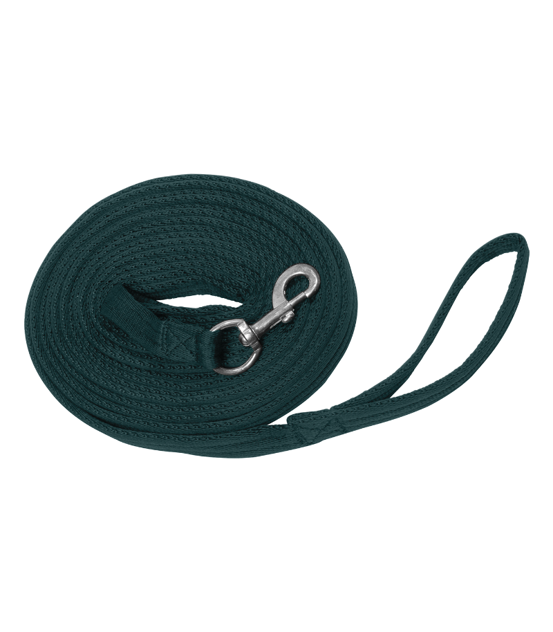 longe-de-travail-verte-waldhausen