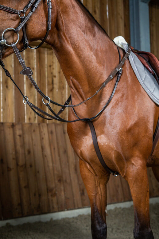 martingale-a-anneaux-brun-full-working-by-dyon-1