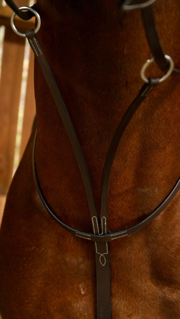 martingale-a-anneaux-brun-full-working-by-dyon-2