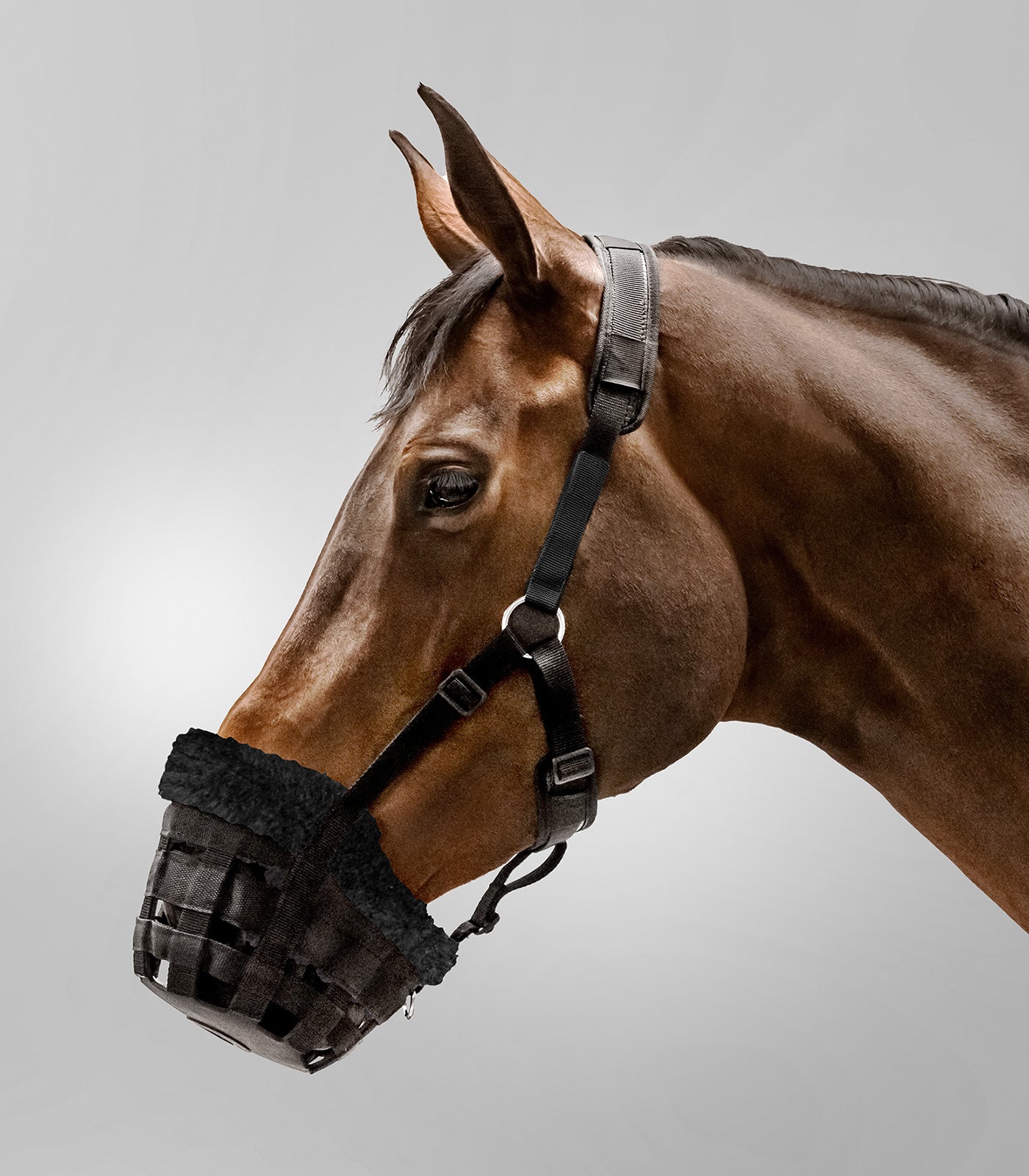 museliere-panier-confort-cheval-waldhausen