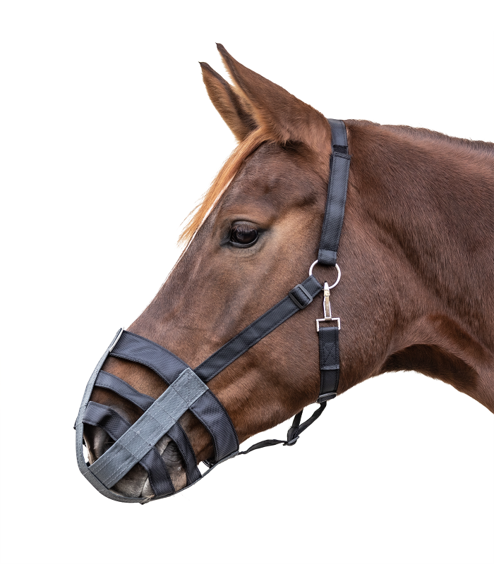 panier-museliere-poney