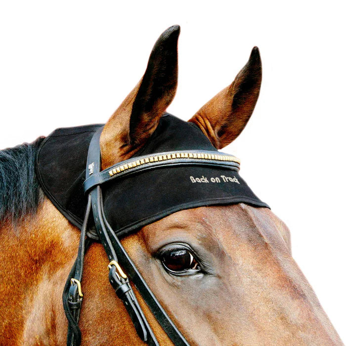 protege-nuque-back-on-track