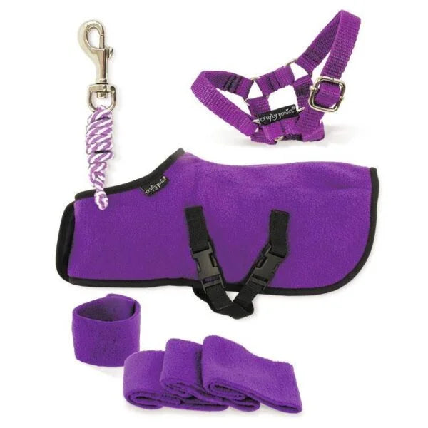 set-polaire-violet-crafty-ponies