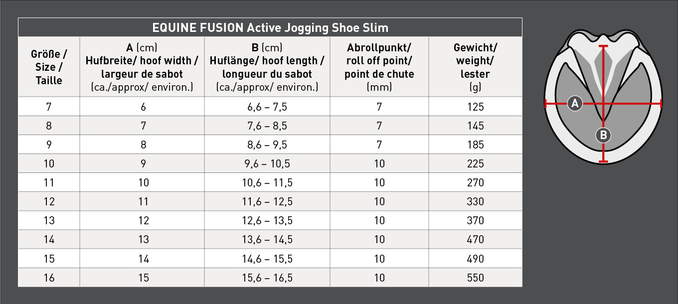 HIPPOSANDALE EQUINEFUSION ACTIVE SLIM ET REGULAR | WALDHAUSEN