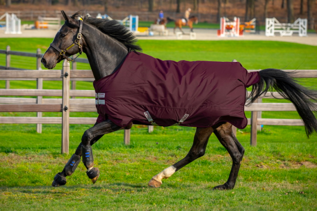 amigo-impermeable-horseware-0-gr