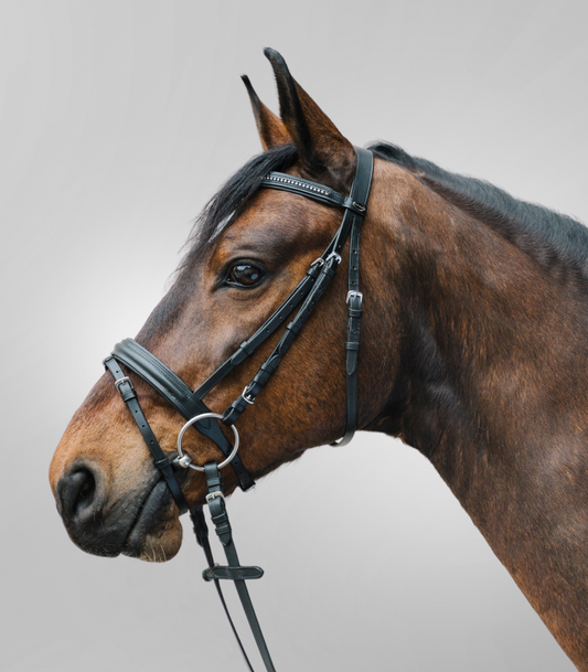 bridon-strass-star-shetland-poney