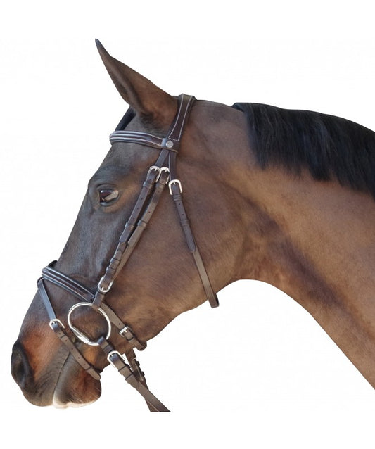 bridon-surpique-combine-canter