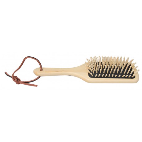 brosse-a-crins-borstiq
