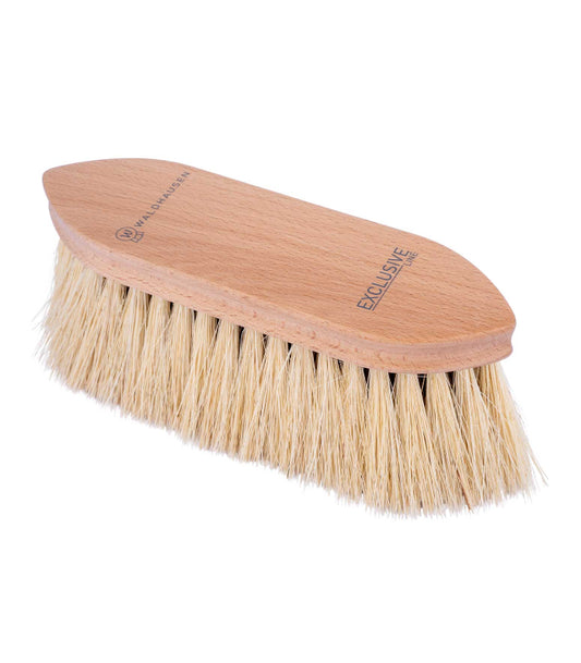 brosse-dure-exclusive-line-waldhausen 