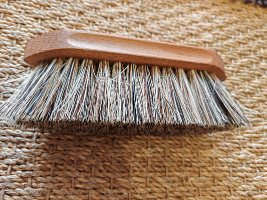 brosse-dure-poils-courts-penelope