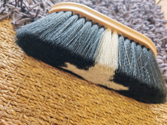 brosse-poussiere-poils-exrta-long-waldhausen