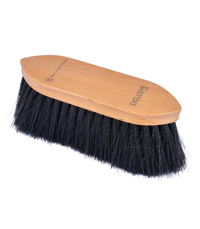brosse-poussiere-waldhausen