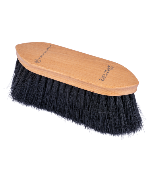 brosse-poussiere-waldhausen