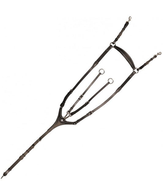 collier-de-chasse-canter