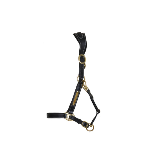 licol-cuir-avec-plaque-tetiere-anatomique-t-de-t