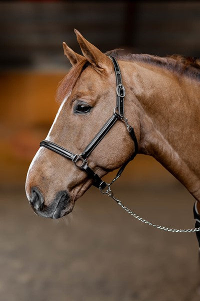licol-cuir-little-groom-hfi