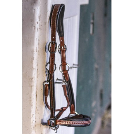 licol-penelope-point-sellier
