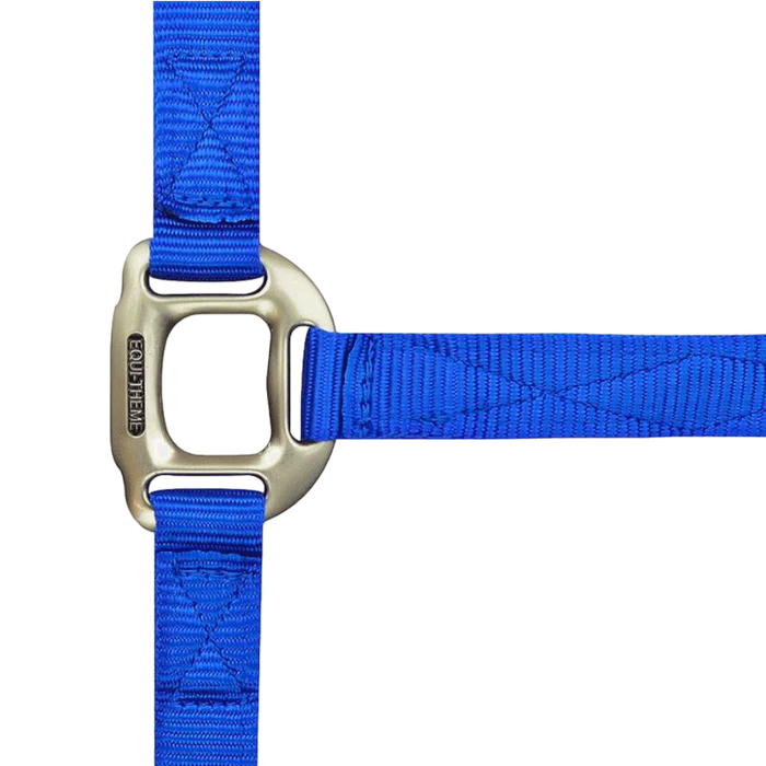 licols-bleu-roi-luxe-equitheme