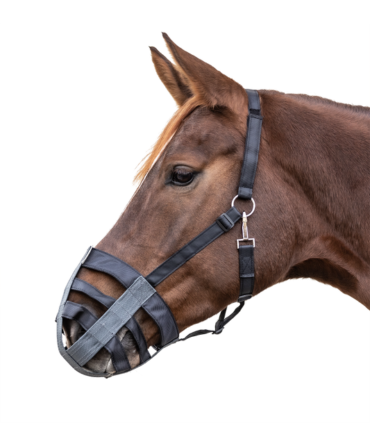 panier-museliere-poney