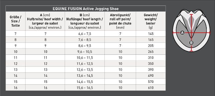 tableau-de-mesures-hipposandale-equine-fusion-active-jogging-shoe-waldhausen