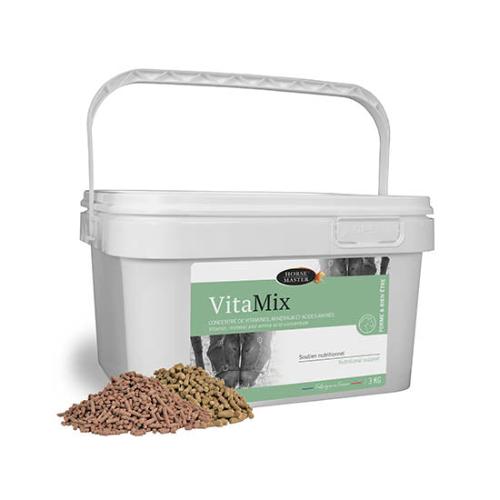 vitamix-horse-master-cheval-3-kg